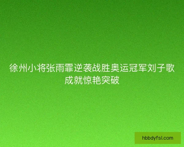 徐州小将张雨霏逆袭战胜奥运冠军刘子歌成就惊艳突破